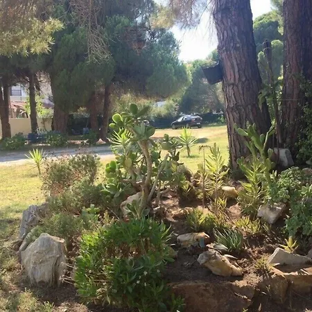 Maistrali Ξενοδοχείο με διαμερίσματα Κουκουναριές