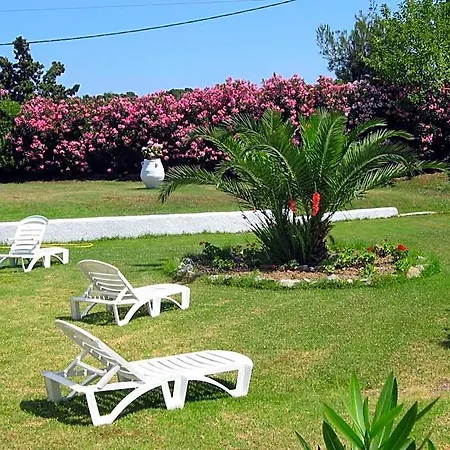 Maistrali Skiathos Koukounaries
