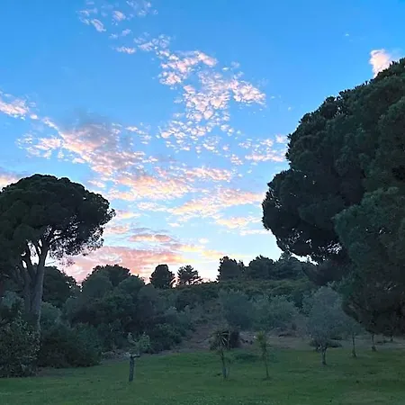 Maistrali Skiathos 3* Koukounaries