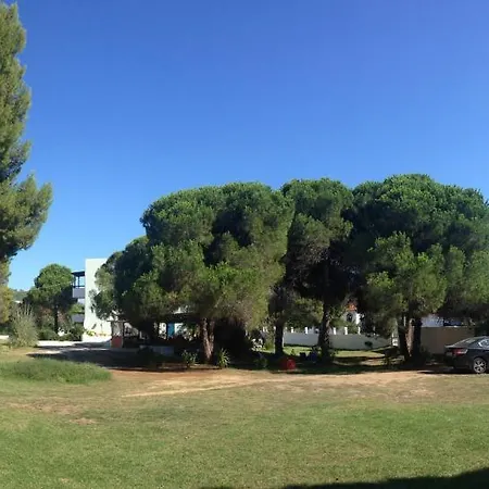 Maistrali