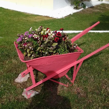 Maistrali