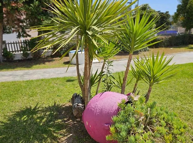 Ξενοδοχείο με διαμερίσματα Maistrali