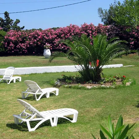 Maistrali Skiathos 3* コウコウナリス
