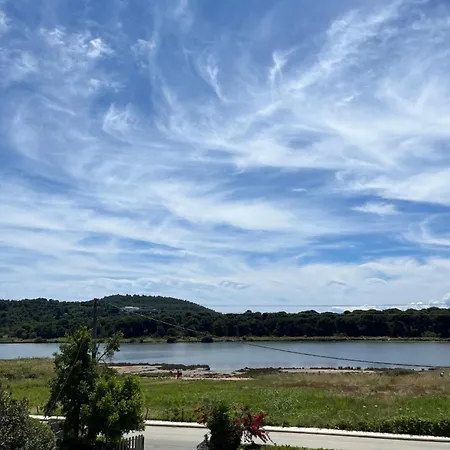 Maistrali Skiathos コウコウナリス