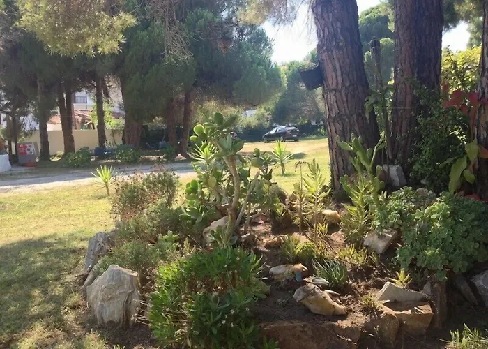 Maistrali Skiathos 아파트호텔 쿠쿠나리에스